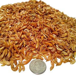 Assorted Freeze Dried Foods