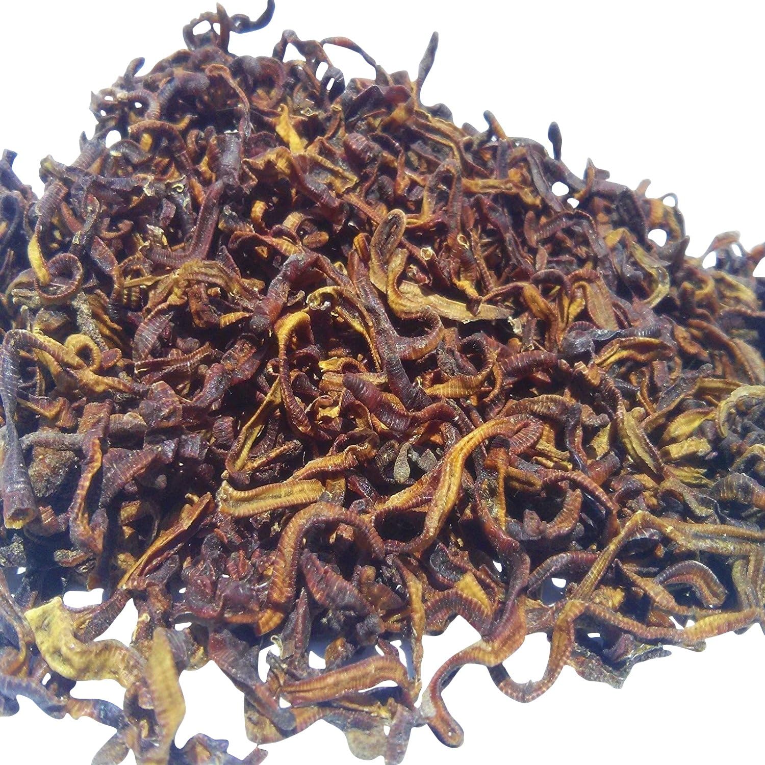 Freeze Dried Earthworms For Large Fish, Pond Fish, Turtles, Reptiles - Image 2