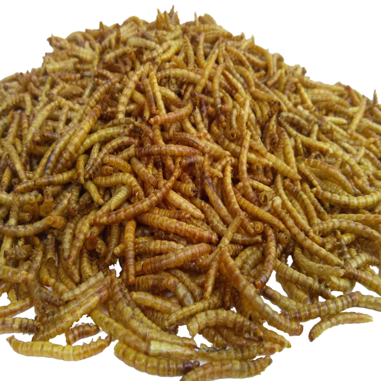Freeze Dried Mealworms For Koi & Pond Fish, Large Fish, Turtles, Birds, & Reptiles